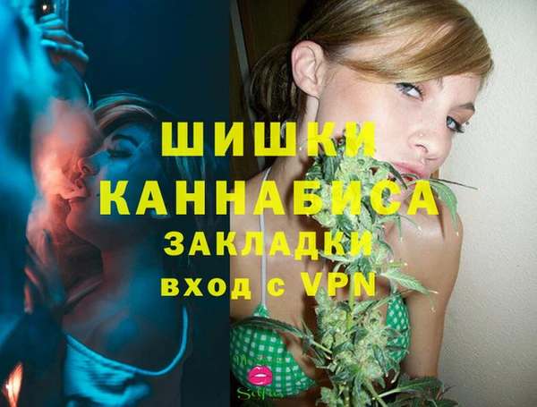 ешки Козловка