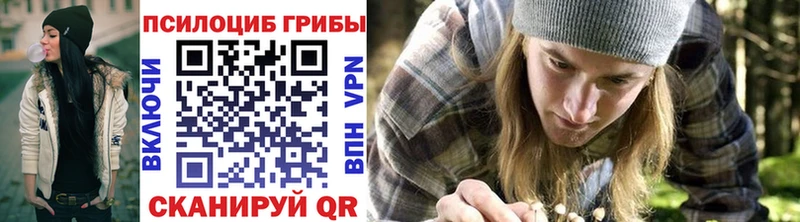 Галлюциногенные грибы Psilocybe  Томск 